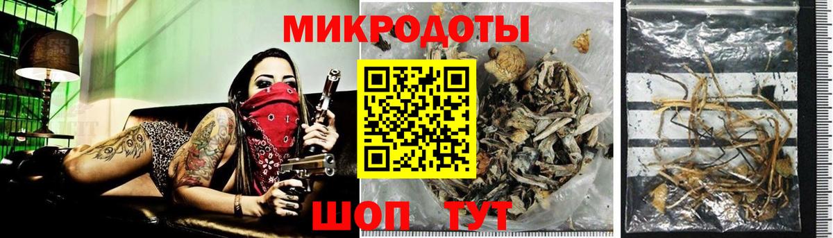 Псилоцибиновые грибы Cubensis  Вход с VPN  Новокуйбышевск 